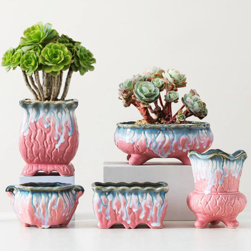 Snake Plant Ceramic - Creative Glazed Flowerpot Succulent Plant Pot
