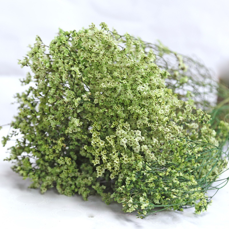 Plant Parent Gifts - Natural Fresh Dried Preserved Flowers Crystal