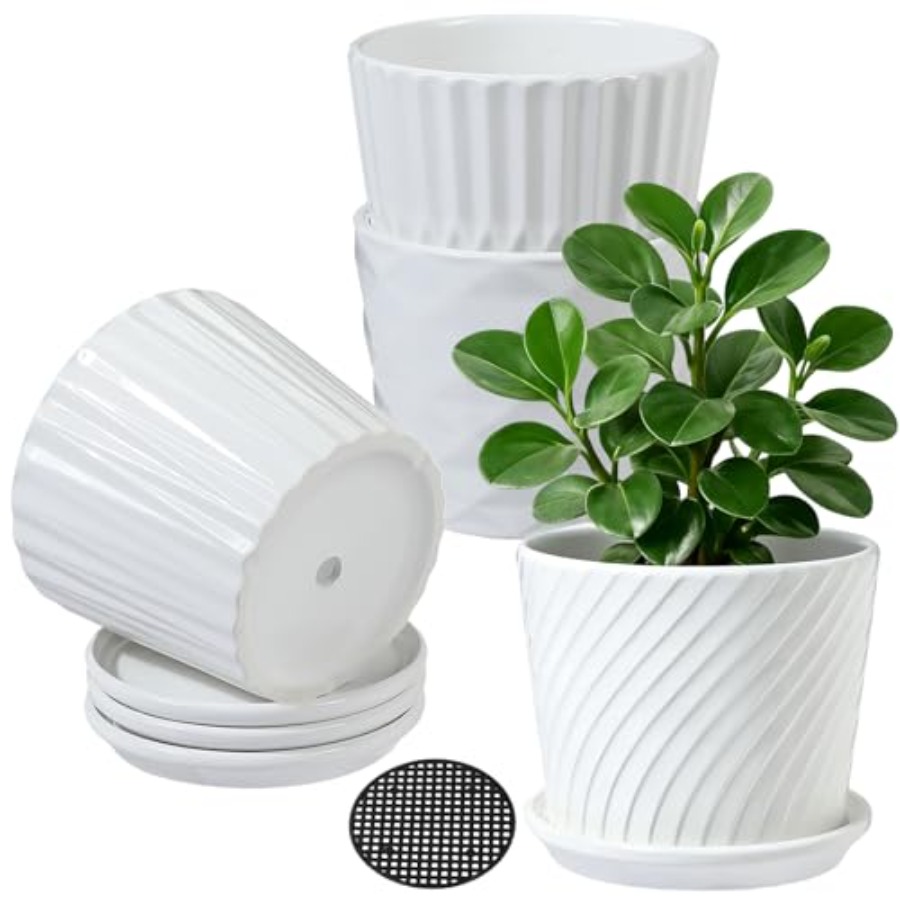 Snake Plant Ceramic - Plant Pots - Cylinder Ceramic Planters