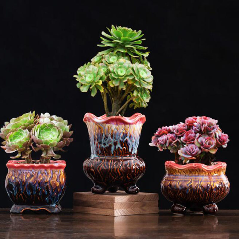 Creative Glazed Flowerpot Succ - Snake Plant Ceramic ulasan dan harga