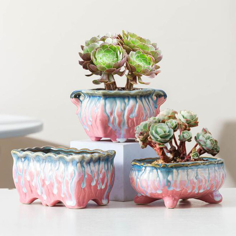 Creative Glazed Flowerpot Succ - Snake Plant Ceramic ulasan dan harga