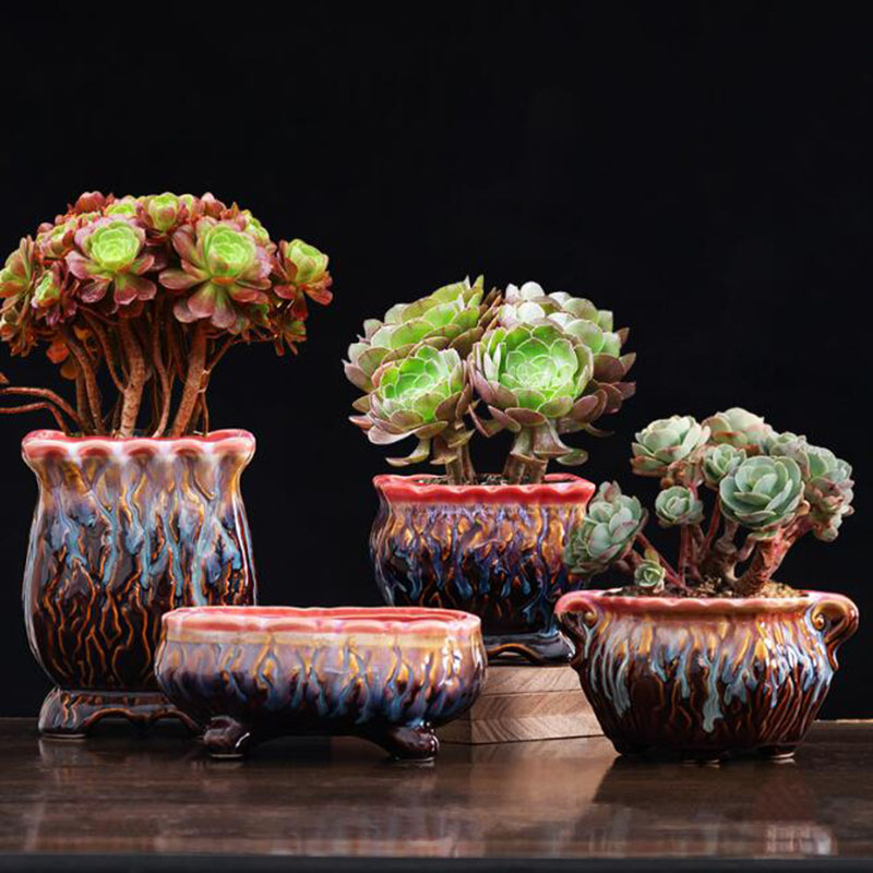 Creative Glazed Flowerpot Succ - Snake Plant Ceramic ulasan dan harga