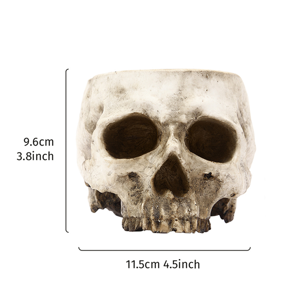 1PC, Creative Skull Flowerpot, - Snake Plant Ceramic ulasan dan harga