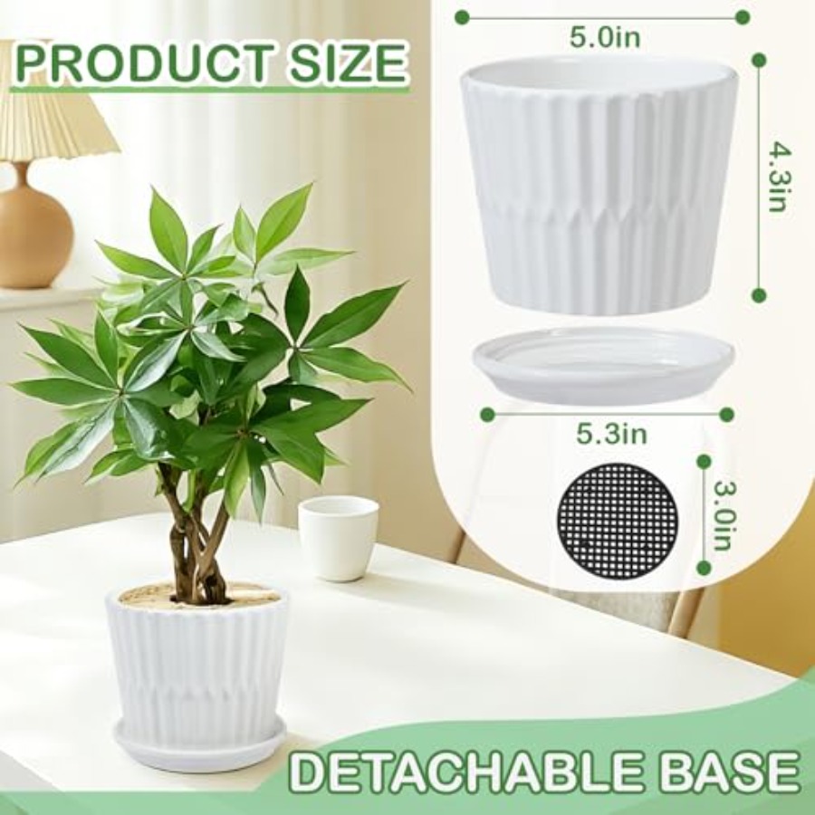 Plant Pots - Cylinder Ceramic  - Snake Plant Ceramic ulasan dan harga
