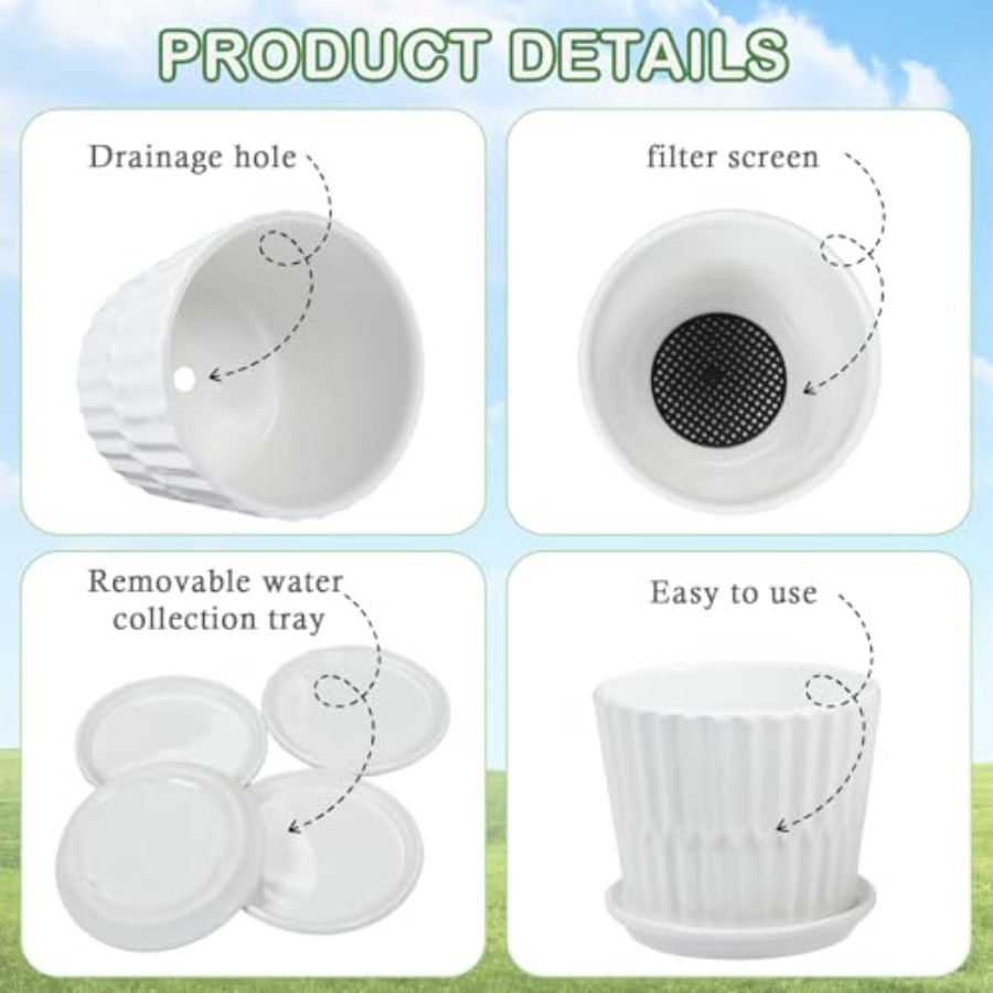 Plant Pots - Cylinder Ceramic  - Snake Plant Ceramic ulasan dan harga