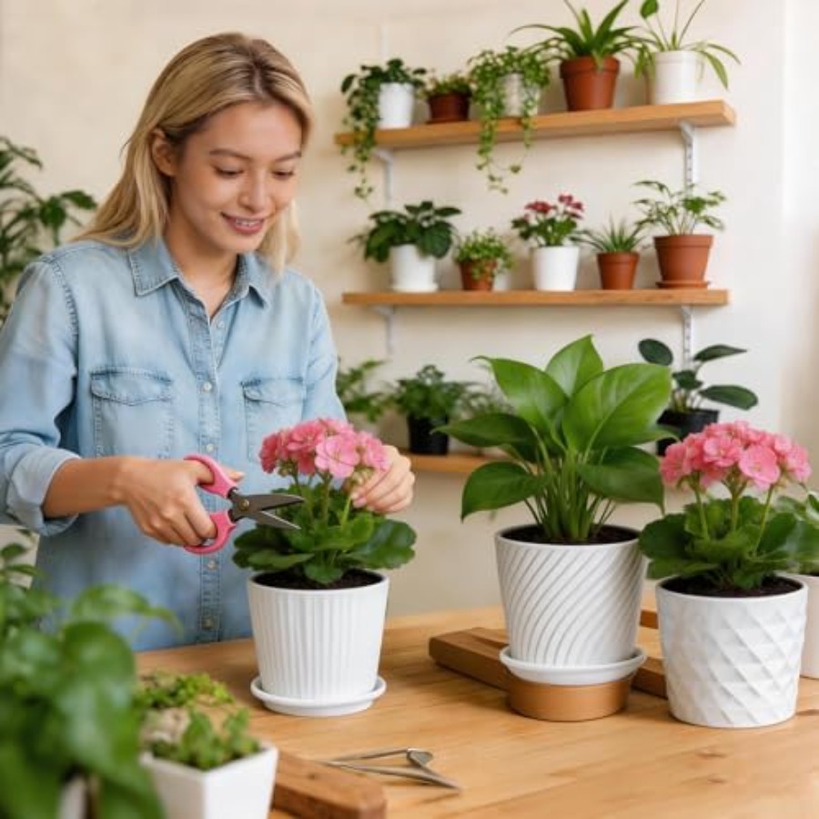 Plant Pots - Cylinder Ceramic  - Snake Plant Ceramic ulasan dan harga