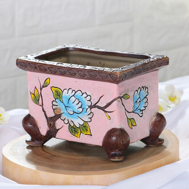 Korean Style Handpainted Flora - Snake Plant Ceramic ulasan dan harga