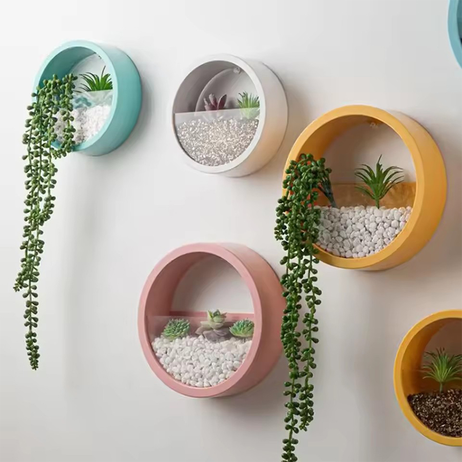Round Wall Mount Planter Pot 3 - Snake Plant Ceramic ulasan dan harga