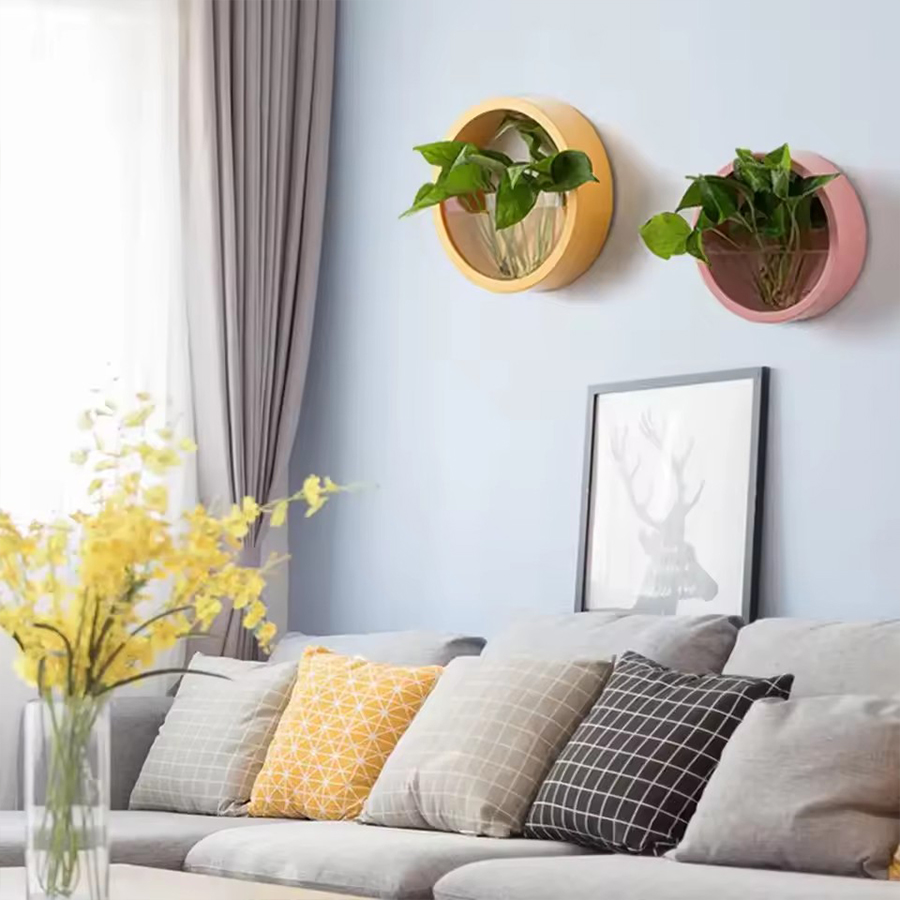 Round Wall Mount Planter Pot 3 - Snake Plant Ceramic ulasan dan harga