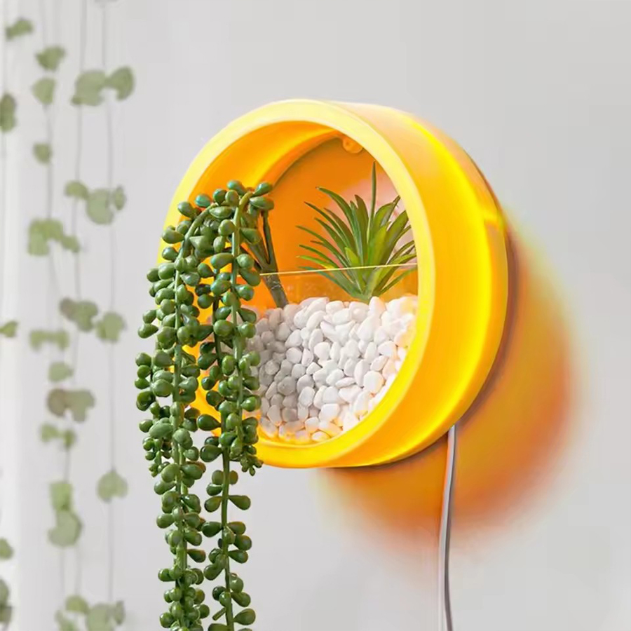 Round Wall Mount Planter Pot 3 - Snake Plant Ceramic ulasan dan harga