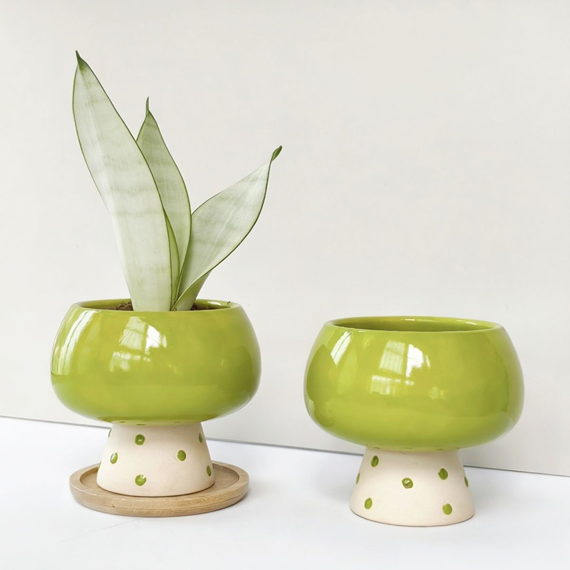 Stylish Minimalist Ceramic Flo - Snake Plant Ceramic ulasan dan harga