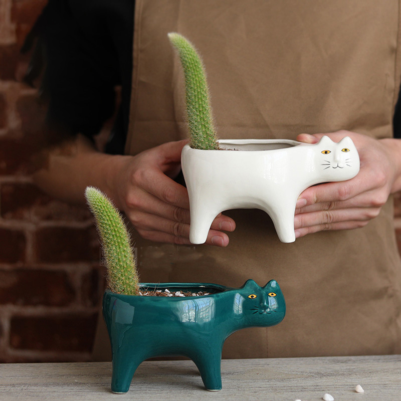 Cute Cat Ceramic Garden Flower - Snake Plant Ceramic ulasan dan harga