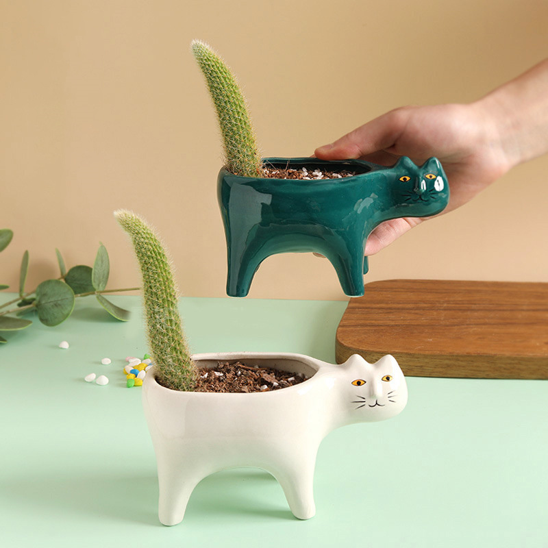 Cute Cat Ceramic Garden Flower - Snake Plant Ceramic ulasan dan harga