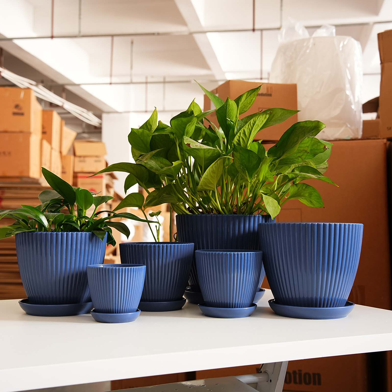 Vertical Striped Plant Pot Thi - Snake Plant Ceramic ulasan dan harga