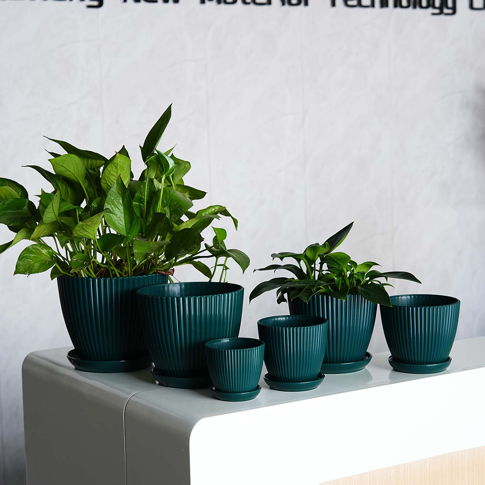 Vertical Striped Plant Pot Thi - Snake Plant Ceramic ulasan dan harga