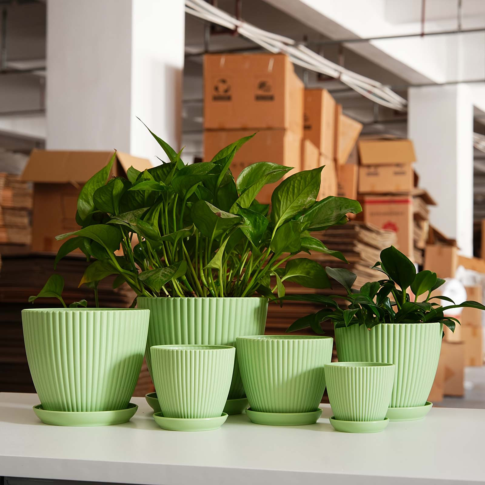 Vertical Striped Plant Pot Thi - Snake Plant Ceramic ulasan dan harga