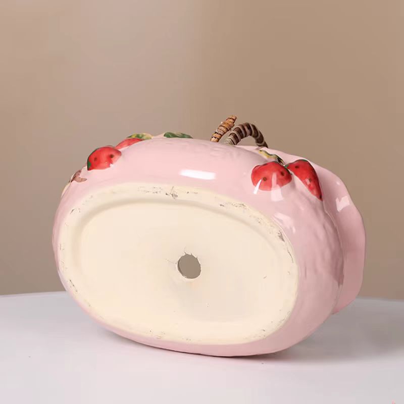 1Pcs Creative Ceramic Planter  - Snake Plant Ceramic ulasan dan harga
